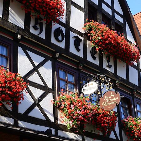 Hotel Zum Braunen Hirschen Bad Driburg Dış mekan fotoğraf