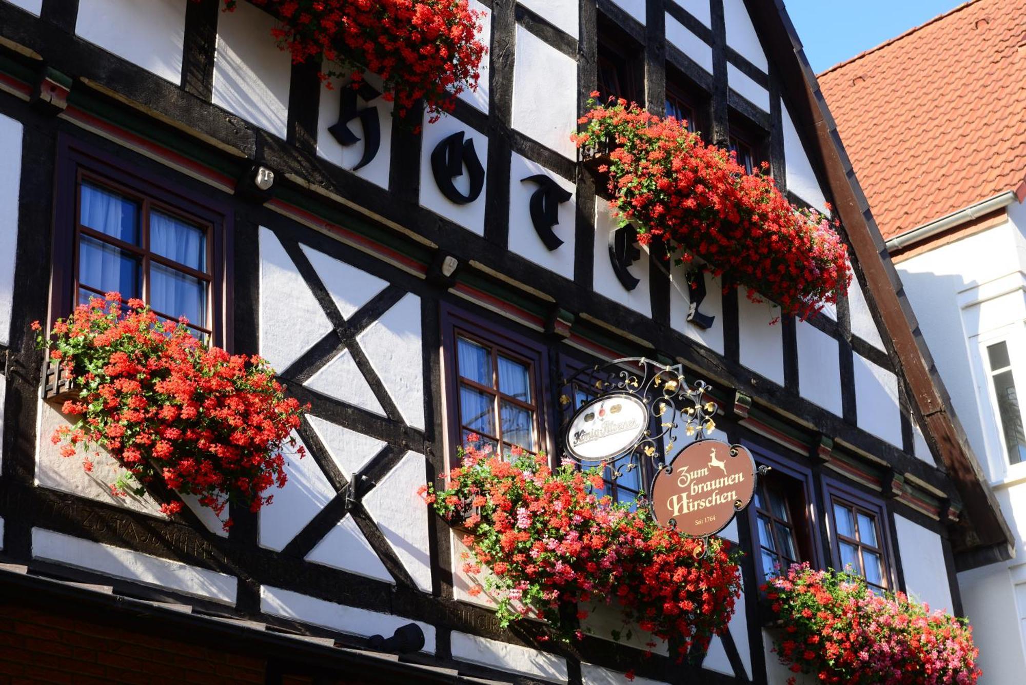 Hotel Zum Braunen Hirschen Bad Driburg Dış mekan fotoğraf